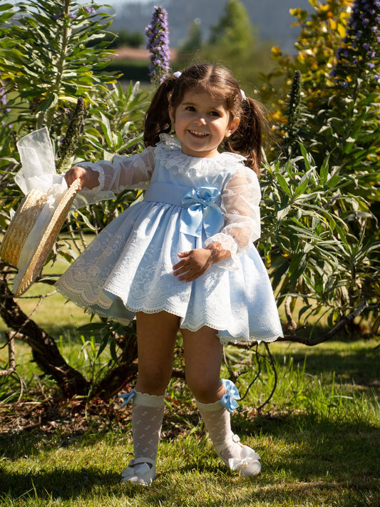 Extravaganza Baby Blue Embroidered Dress (Made to order)