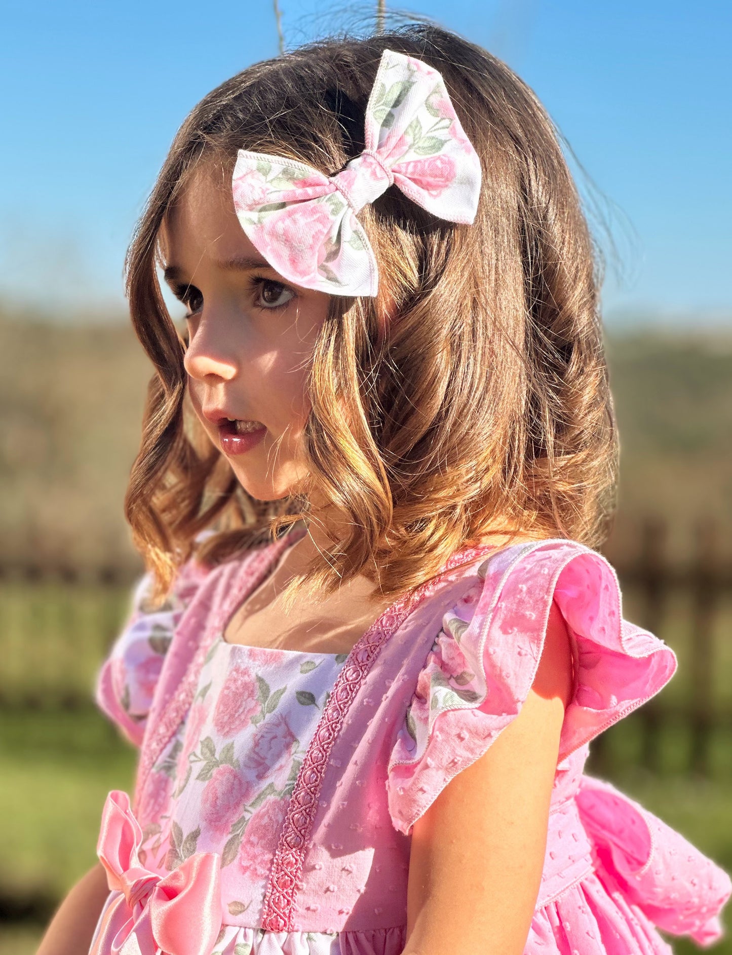 Sonata Pink Plumetti & Rose Ruffle Dress & Hair Bow - (Made To Order)